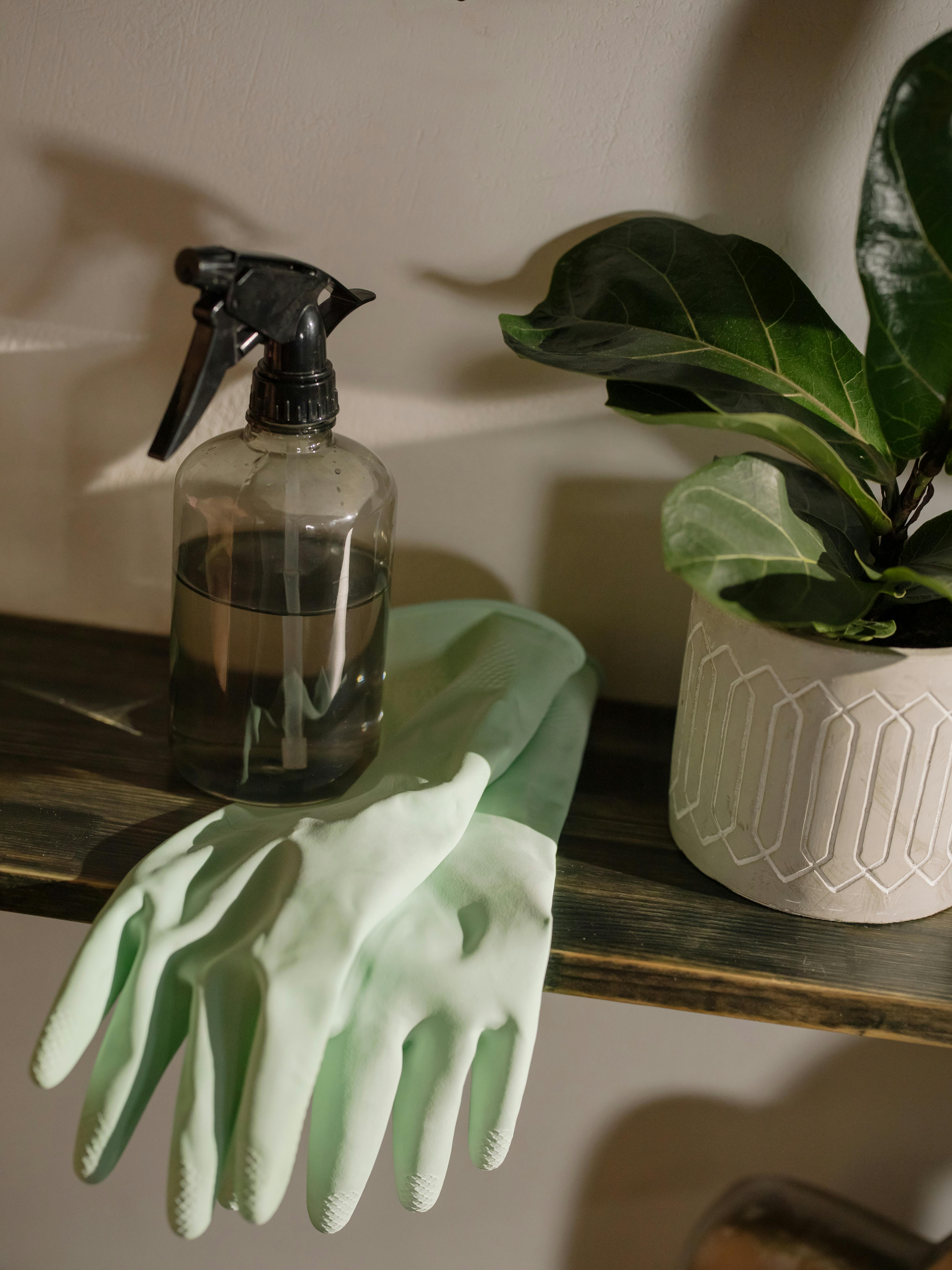 Assorted household essentials